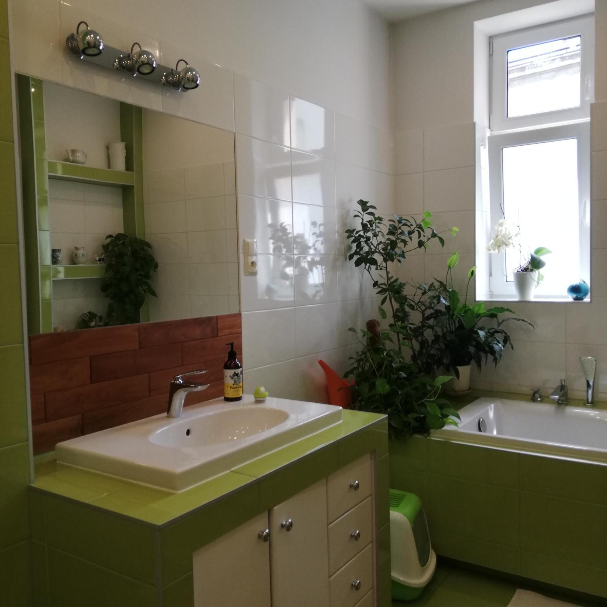 Botaniczny Pokoj クラクフ エクステリア 写真
